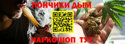 сатива Бузулук