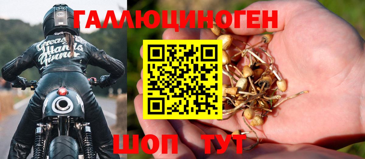 как найти наркотики  Галлюциногенные грибы MAGIC MUSHROOMS  Вход с VPN  Учалы  Псилоцибиновые грибы Magic Shrooms 